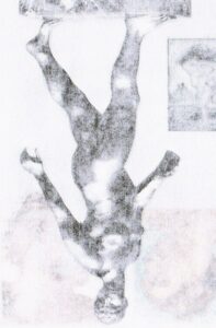 exhibition image